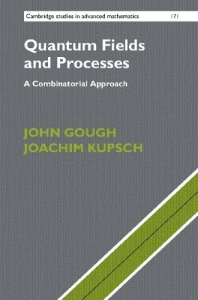 Quantum fields and processes : a combinatorial approach